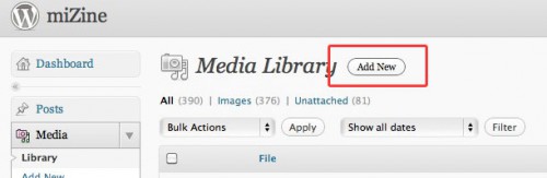 favicon WordPress hochladen