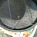 Outdoorchef-gasgrill-2