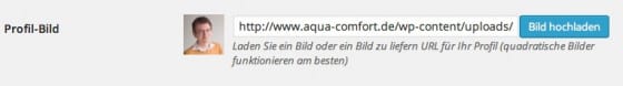 wordpress autor box